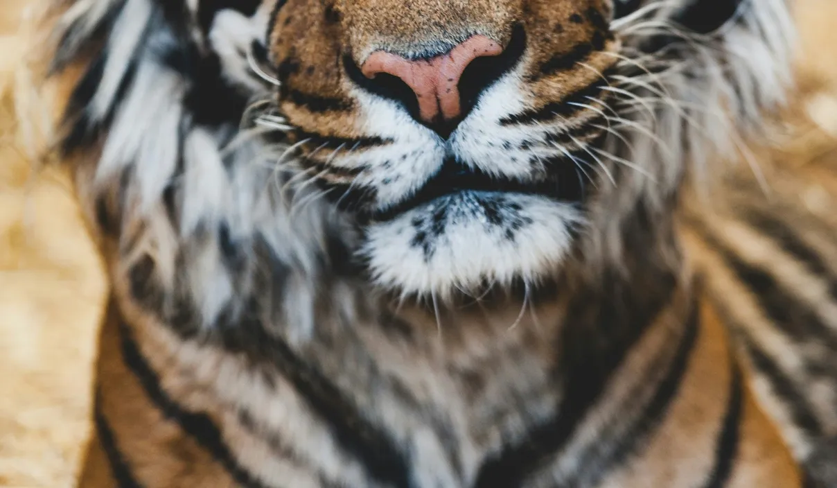Ile kosztuje bilet do wrocławskiego zoo?