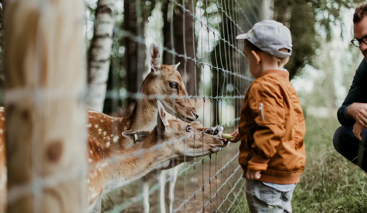 Ile kosztuje bilet do zoo w Chorzowie?